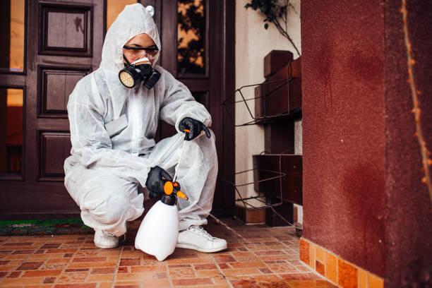Reliable Cockroach Control contractor in Smith Center, KS by Nex Pest Control